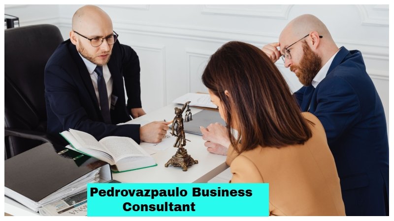 Pedrovazpaulo Business Consultant